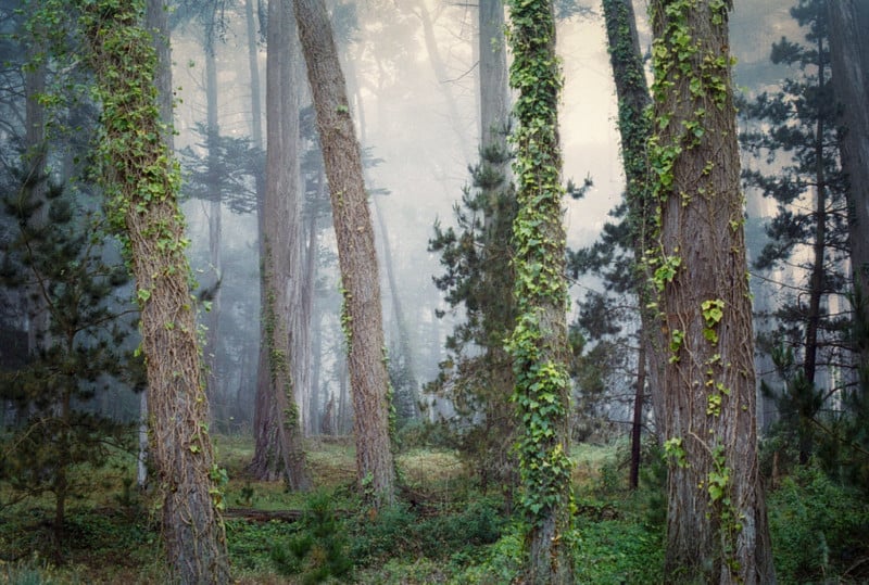 Shainblum-landscape-fog-photography-petapixel-9-800x539.jpg