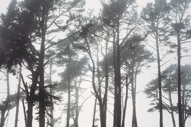 Shainblum-landscape-fog-photography-petapixel-10-800x532.jpg