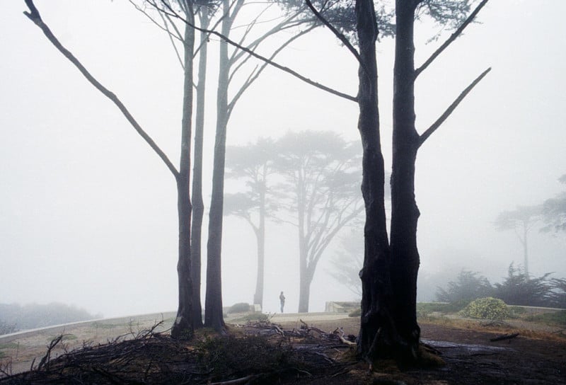 Shainblum-landscape-fog-photography-petapixel-5-800x544.jpg